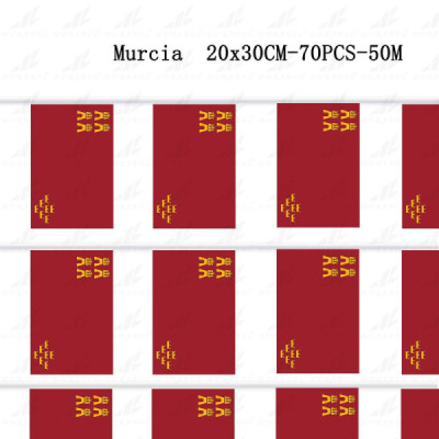 Cadena de Bandera Murcia 20X30CM-70PCS-50M